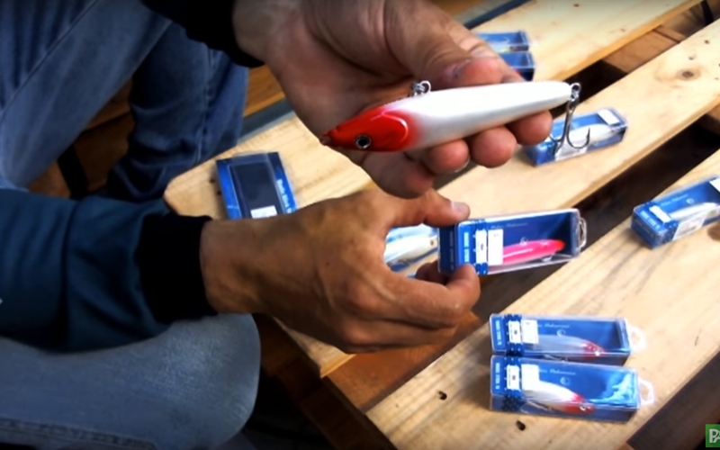 Pesca Alternativa - Fishing the Snookfish with a stick bait (Magic Sti - Patr&Atilde;&shy;cio Gleberson will show you all you need to know about fishing the snookfish with a stick bait.